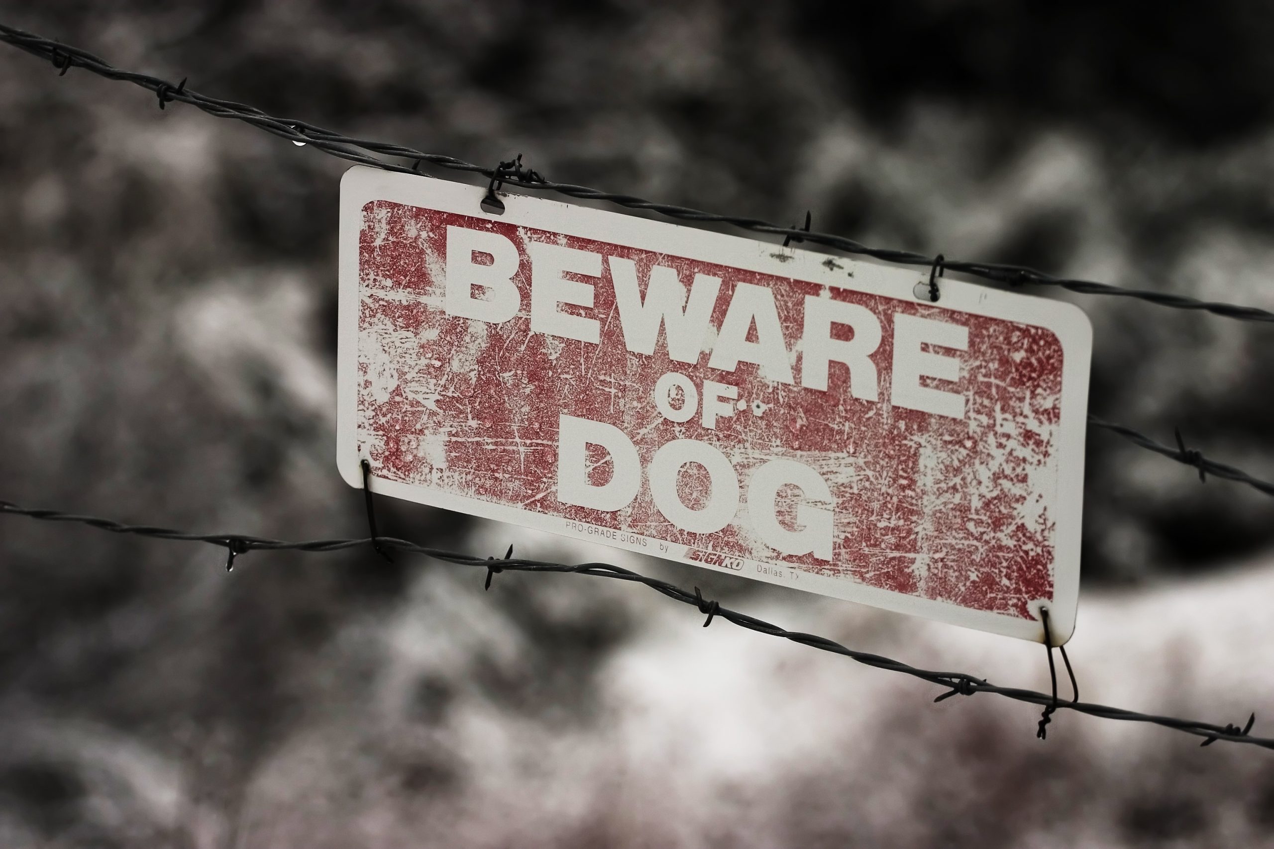 beware of dog signage